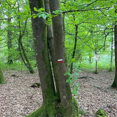 Manoir De La Prise Tarot