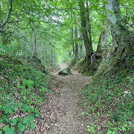Bed & Breakfast Manoir De La Prise Tarot