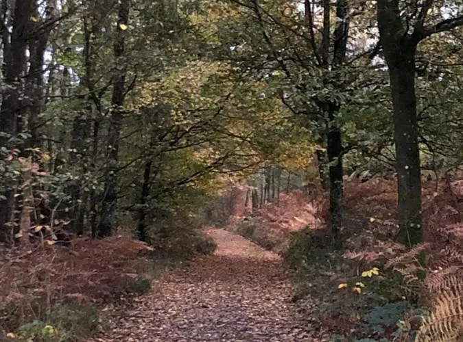 Manoir De La Prise Tarot