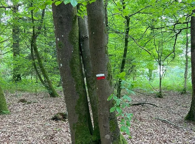 Manoir De La Prise Tarot