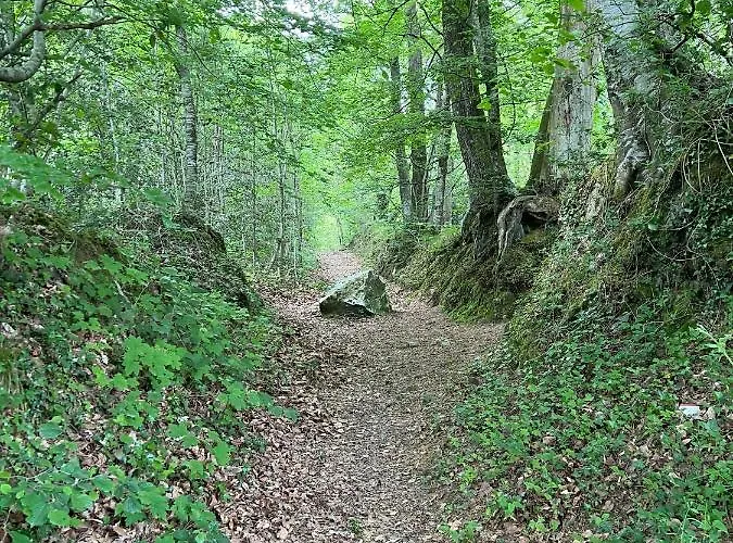 Bed & Breakfast Manoir De La Prise Tarot